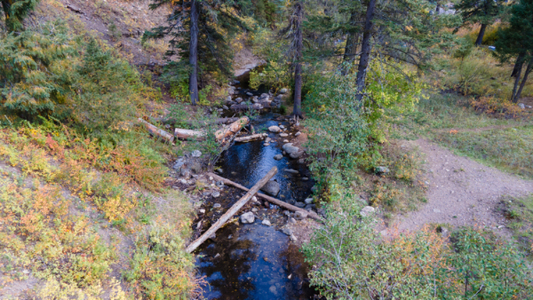 Little stream that runs into the Pecos river