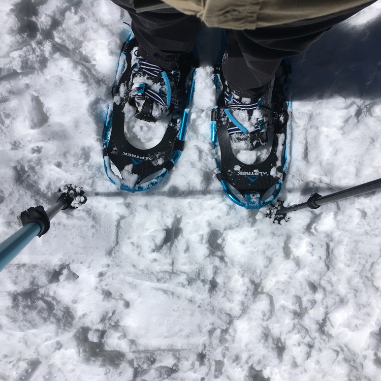 Snow shoes